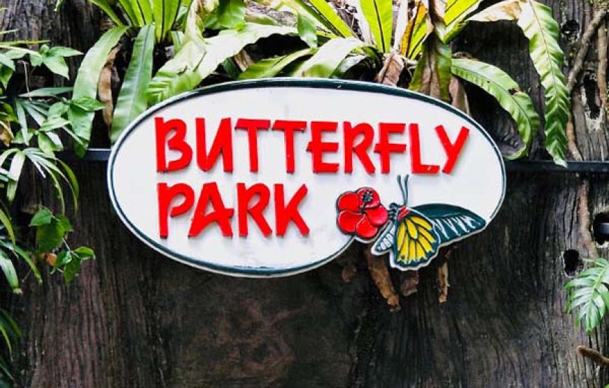 Butterfly Park and Insect Kingdom