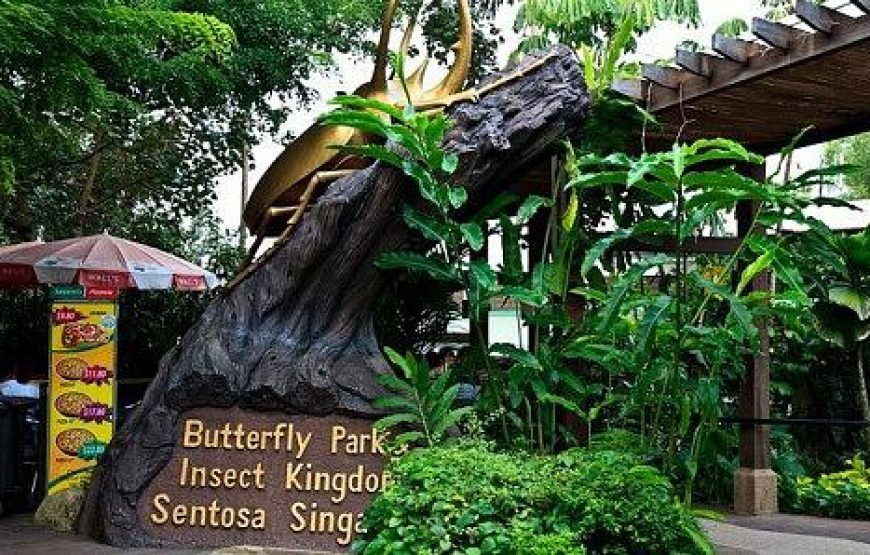 Butterfly Park and Insect Kingdom