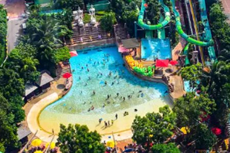 Adventure Cove Waterpark