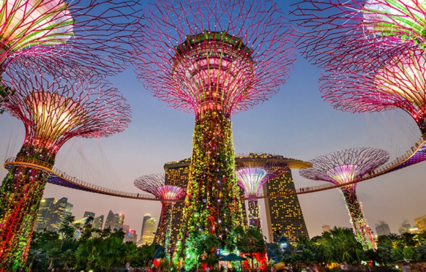 Gardens by the Bay Singapore (Flowerdome+ SuperTree + Floral Fantacy)