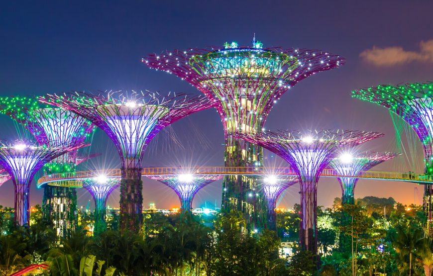 Gardens by the Bay Singapore (Flowerdome+ SuperTree + Floral Fantacy)