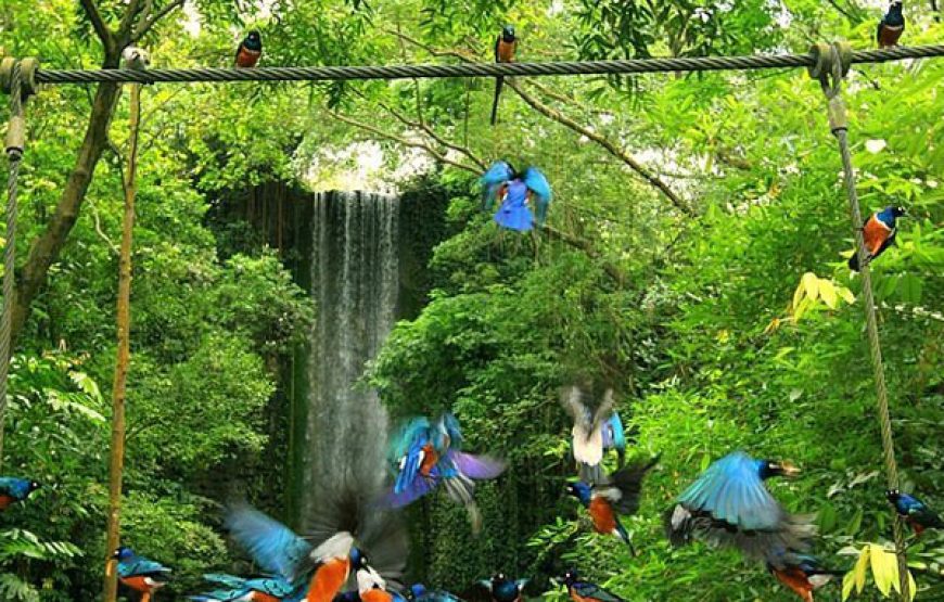 Jurong Bird Park – Singapore