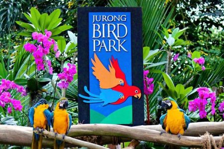 jurong birds park - singapore