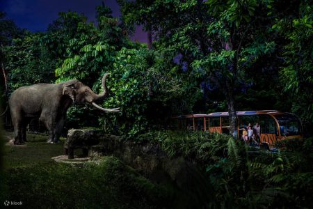 night-safari-singapore