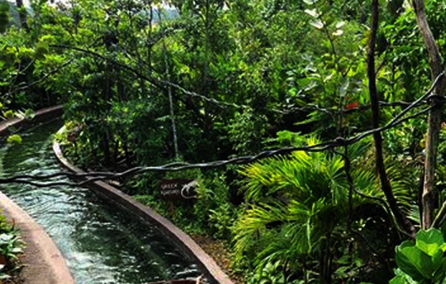 River Wonders Singapore +  (Boat Ride)