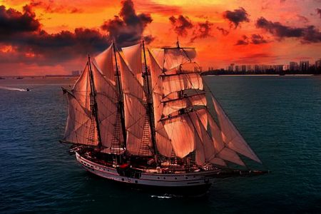 royal albatross - sunset sail gold