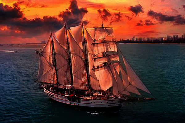 royal albatross - sunset sail gold