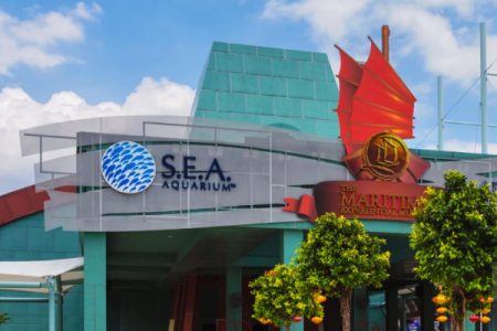 sea-aquarium-singapore-ar-hoildays