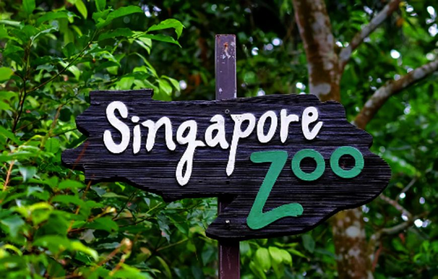 Singapore Zoo