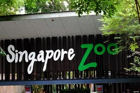 singapore zoo