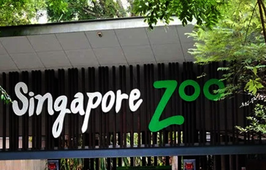 Singapore Zoo