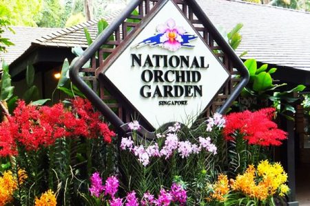 National Orchid Garden singapore - 1