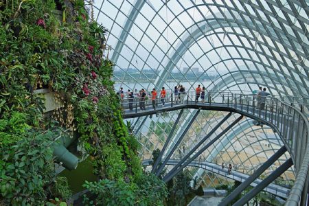 Gardens by the Bay Singapore: Flower Dome & Cloud Forest Experience