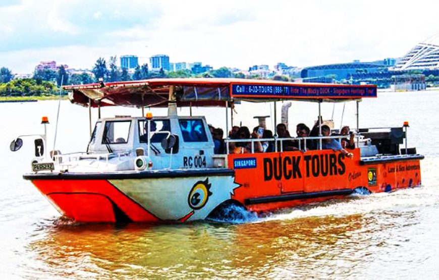 CNY Celebration: DUCK Tour Special (7-18 Feb)