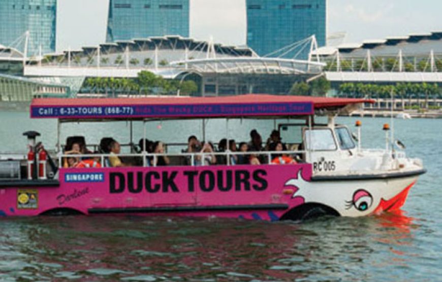 CNY Celebration: DUCK Tour Special (7-18 Feb)